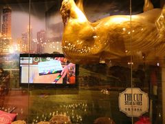 -THE CUT Rooftop顶楼牛排餐吧(环贸iapm店)
