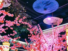 -今朝桃花醉川菜小酒馆(龙湖天街店)