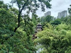 -水绘园