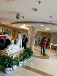 -北京大学第一医院妇产儿童医院