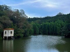 -滴水岩森林公园