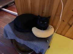 -春风十里咖啡馆