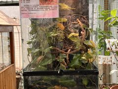 -上海大自然野生昆虫馆
