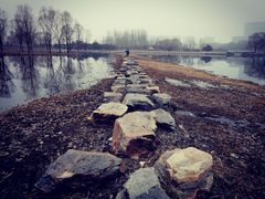 -大兴滨河森林公园