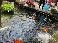 -寻味顺德·南记酒家·传统顺德菜·鱼生(广源路店)