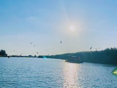 -乌梁素海景区