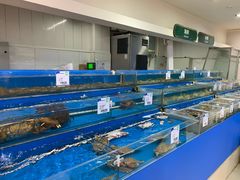 新鲜鱼货-果蔬好生活超市(双井店)
