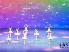 -中央芭蕾舞团·中芭艺蕾(酒仙桥明星校区)