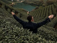 -龙坞茶村