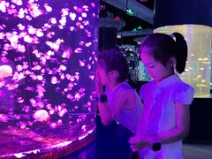 -重庆欢乐海底世界