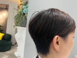 -爱维丽