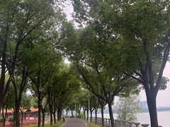 -金银湖国家城市湿地公园