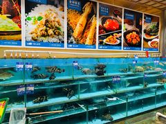 水产区-强记海鲜·大排档(蛇口新街店)
