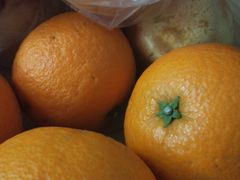 -上海龙吴水胜海发市场