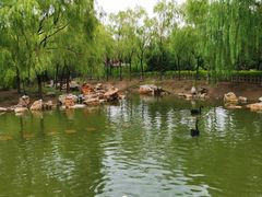 -大青山野生动物园