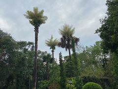 -中国科学院西双版纳热带植物园