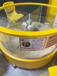 -神奇动物撸宠馆·羊驼·小浣熊·异宠(豫园店)