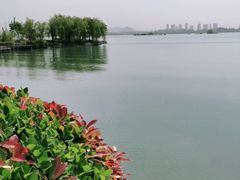 -南湖国家城市湿地公园