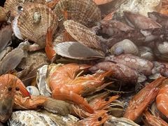 -大锅强·蒸海鲜青岛菜(吾悦广场店)