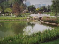 -西海子公园