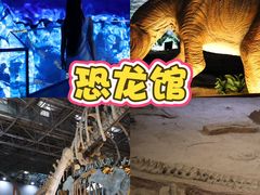 -中国西峡恐龙遗迹园