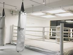 -EFL巴西柔术·综合格斗·泰拳·少儿体能训练(虹桥德必馆)