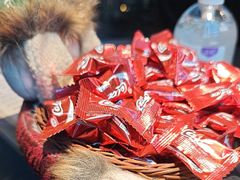 -屋有岛沉浸游戏旗舰店(中山公园店)