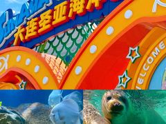 -大连圣亚海洋世界