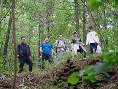 -素山寺森林公园