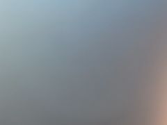 -巢爷老味(东方红店)