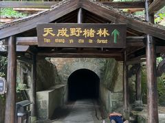 -富春桃源风景区