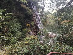 -龙道沟景区