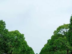 -漕湖湿地公园