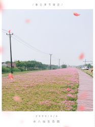 -水八仙生态园