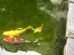 -漫笙舍Manse·咖啡·民宿