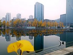 -百林公园-两江幸福广场