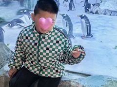 -芜湖新华联大白鲸海洋公园