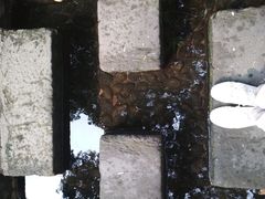 -成都市活水公园