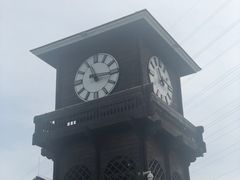 -永定河休闲森林公园