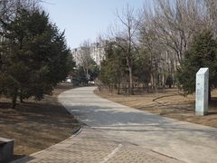 -固安志愿公园