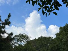 -秋霞圃