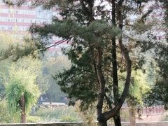 -元大都城垣遗址公园