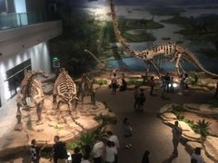 -自贡恐龙博物馆