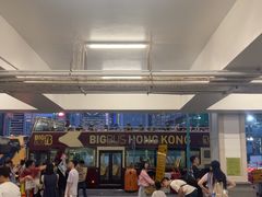 -Big Bus Tours 敞篷观光巴士