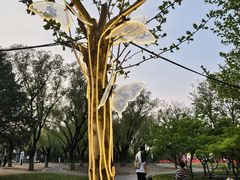 -太阳宫公园