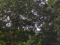 -黔灵山公园