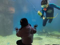 -多彩贵州城极地海洋世界