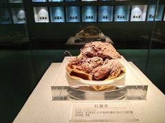 -青藏高原自然博物馆