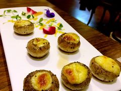 -百好乐宠物友好餐厅(朝外大街店)