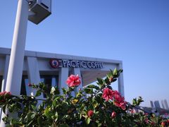 -太平洋咖啡(海天驿站店)